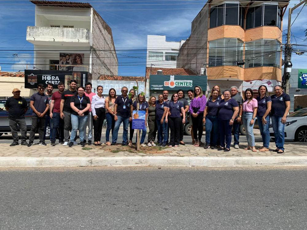 Servidores da Câmara Municipal de Patos plantam muda de árvore em homenagem a Daartagnan 