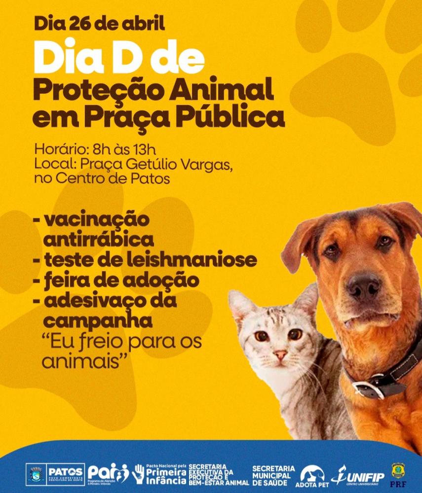  Prefeitura de Patos promove Dia D de Proteção Animal em Praça Pública. Confira programação