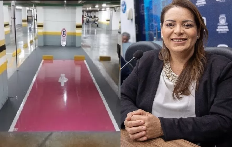 Sancionado PL de Nadir que garante vagas em estacionamentos para gestantes e mães com crianças de colo